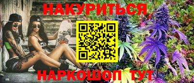 гидра Волгодонск