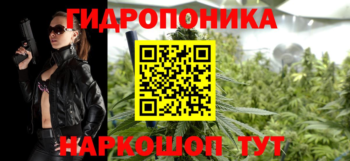 Брянск  Каннабис Bruce Banner  Канабис White Widow  Вход с VPN  Каннабис тримм 